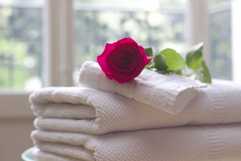 hotel-BRIGNOLES-min_towel_rose_clean_care_salon_spa_white_bath-731641